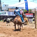 Ranch Sorting: nova competição empolga público na Fenagro imagem