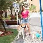 Cresce a presença de pets em apartamentos alugados - Imagem