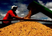 Agronegócio mostra força na participação da economia do estado na Fenagro