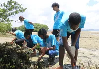 Alunos de São Francisco do Conde fazem replantio de mangues