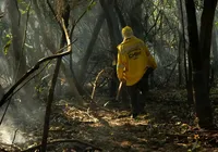 Amazônia tem o maior número de queimadas e incêndios em 17 anos