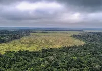 Bahia busca frear destruição de biomas