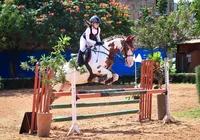 Baiana Beatriz Garcez é campeã do Circuito Norte/Nordeste de hipismo imagem