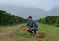 Café da Chapada conquista registro de Indicação Geográfica