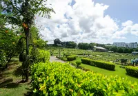 Cemitério Bosque da Paz Celebra o Dia de Finados