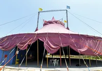 Circo Picolino tem futuro definido em nova orla de Salvador imagem