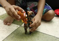 Criação de cadastro nacional de pedófilos divide opiniões de especialistas