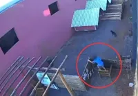 VÍDEO: criança de 9 anos invade hospital veterinário e mata 23 animais