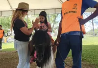 Crianças aprendem a montar em pôneis na Fenagro