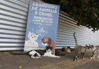 Editorial - Animais humanos