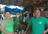 Expositores de plantas e flores são destaques na Fenagro