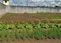 Fenagro terá materiais e alimentos produzidos em unidades prisionais da Seap