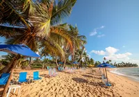 Festival de cultura e gastronomia chega a Praia do Forte em dezembro imagem