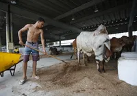 Grande vitrine da agropecuária baiana, Fenagro 2024 traz show de novidades