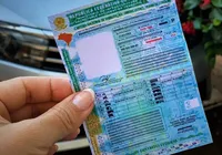 Multas de trânsito vão custear habilitação de pessoas de baixa renda imagem
