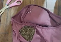 Mulher é presa tentando entrar com maconha na calcinha em presídio