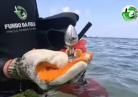 Mutirão da limpeza encontra brinquedo erótico no Porto da Barra; veja