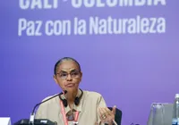 Na COP16, Marina Silva defende fundo para remunerar povos tradicionais imagem