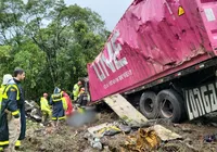 Nove membros de equipe de remo morrem após van ser atingida por carreta