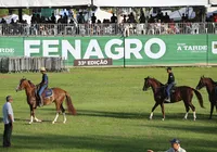 O Nordeste brasileiro dá o maior show agro: Fenagro