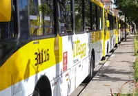 Ônibus voltam a circular no bairro do Arenoso