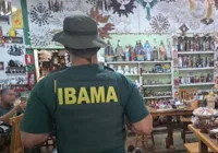 Operação do Ibama tem prisão por porte ilegal de armas e tráfico de animais