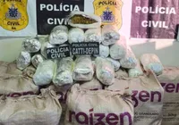Polícia Civil apreende maconha avaliada em R$ 2 milhões na Bahia