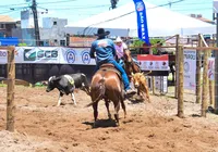 Ranch Sorting: nova competição empolga público na Fenagro imagem