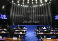 Senado se prepara para votar PL que libera cassinos e jogo do bicho