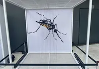 Exposição contra a dengue é lançada em shopping de Salvador