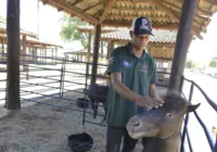 Tratadores e agentes de limpeza: confira os bastidores da Fenagro