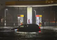 Vídeo: crocodilos assustam moradores após passagem de furacão Milton