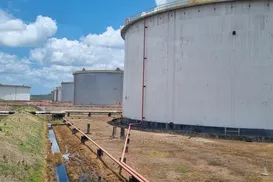 Acelen aposta na produção de biocombustível à base de macaúba na Bahia - Imagem