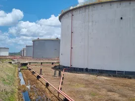 Acelen aposta na produção de biocombustível à base de macaúba na Bahia - Imagem