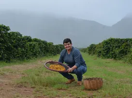 Café da Chapada conquista registro de Indicação Geográfica - Imagem