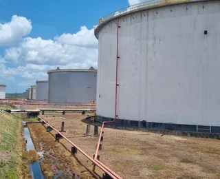 Acelen aposta na produção de biocombustível à base de macaúba na Bahia