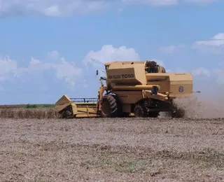 Agro baiano na luta pelo clima