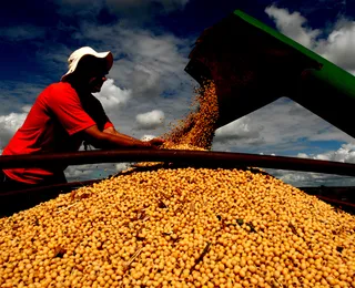 Agronegócio mostra força na participação da economia do estado na Fenagro