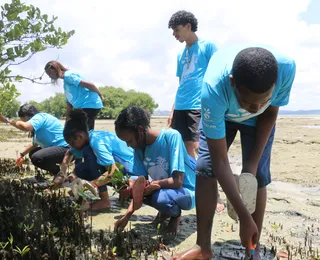 Alunos de São Francisco do Conde fazem replantio de mangues