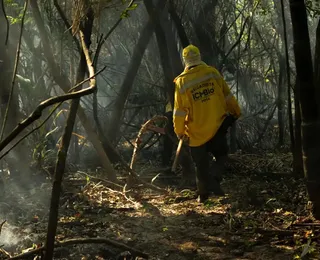 Amazônia tem o maior número de queimadas e incêndios em 17 anos