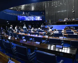 Auditores revelam “jabuti” do Senado