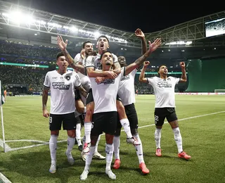 Botafogo vence São Paulo e é campeão brasileiro após 29 anos