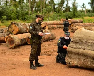 Brasil: a cada 400 casos de crimes ambientais, só um termina em prisão