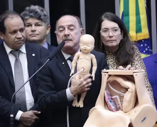 CCJ da Câmara aprova PEC que proíbe aborto legal no Brasil