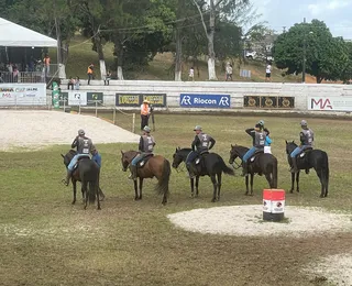 Campeonato de marcha geral de cavalos elege o “campeão dos campeões”