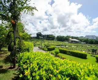 Cemitério Bosque da Paz Celebra o Dia de Finados