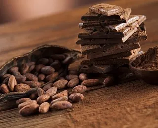 Chocolate Cabruca é campeão mundial