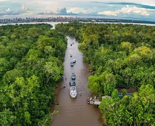 Começa nesta segunda a 16ª COP da Biodiversidade na Colômbia