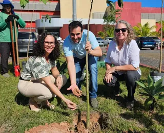 Congresso realiza compensação de carbono em Salvador