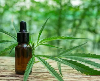 Coren-Ba desmistifica cannabis medicinal em curso para enfermeiros